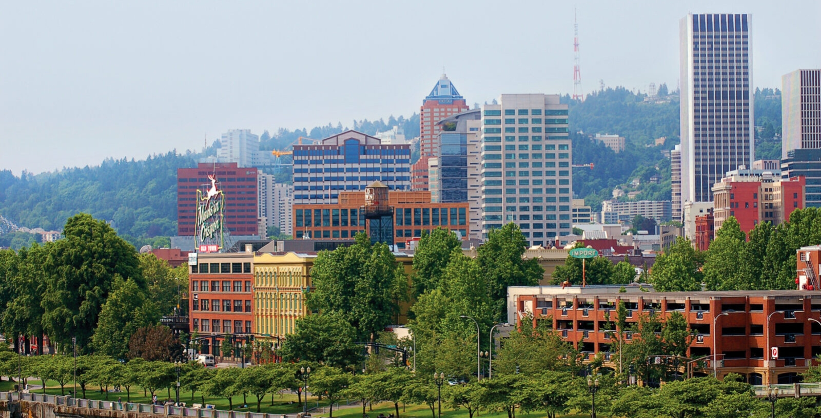 Charlotte City Skyline